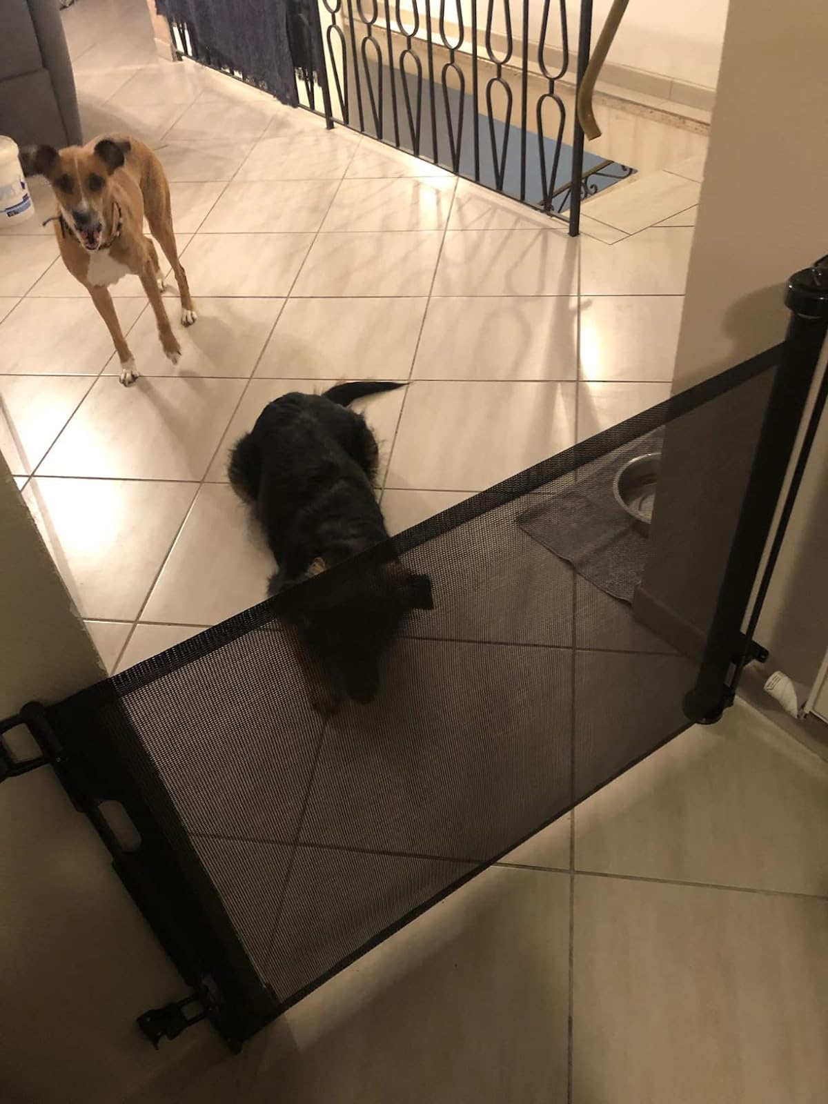Retractable Dog/Child Gate